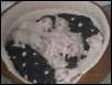 22 days old